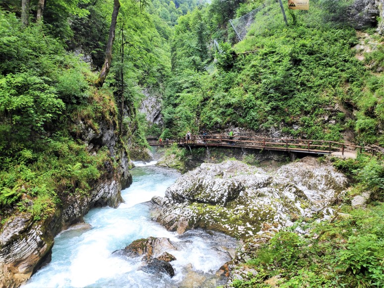 Les Gorges de Vintgar - Slovénie