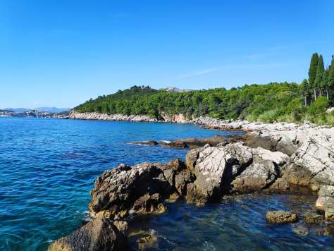 Île de Lokrum près de Dubrovnik